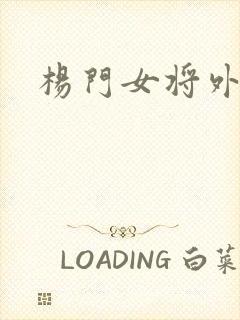 杨门女将外传