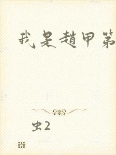 我是赵甲第小说