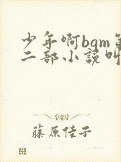 少年啊bgm第二部小说叫什么