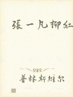 张一凡柳红