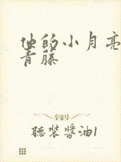 他的小月亮by青藤