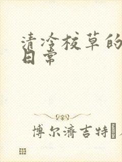 清冷校草的抹布日常