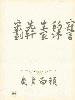 宋先生的宠妻计划轩家沐言