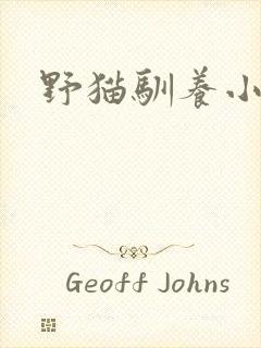 野猫驯养小说