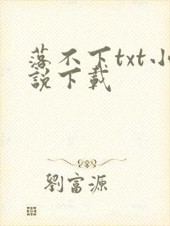 落不下txt小说下载