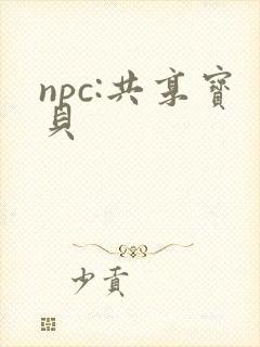 npc:共享宝贝