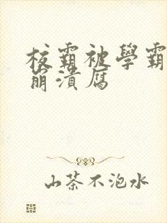 校霸被学霸玩到崩溃腐