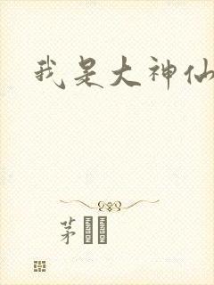 我是大神仙小说