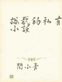 总裁的私有宝贝小说