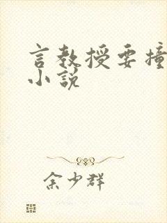 言教授要撞坏了小说