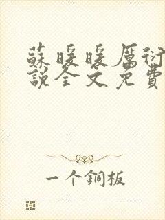 苏暖暖厉衍琛小说全文免费阅读