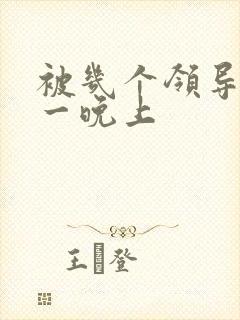 被几个领导玩弄一晚上