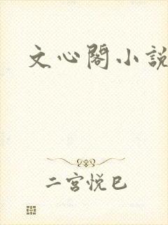 文心阁小说