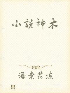小说神木