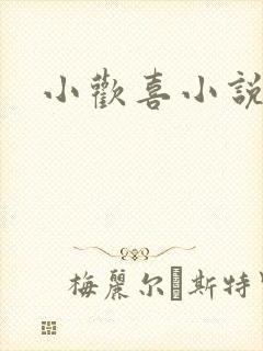 小欢喜小说