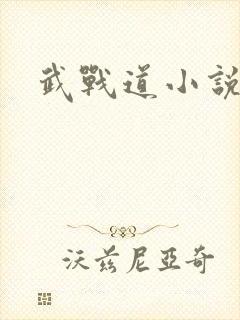 武战道小说