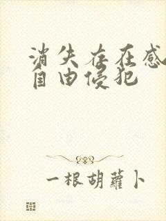 消失存在感消失自由侵犯