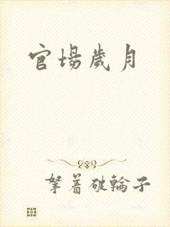 官场岁月