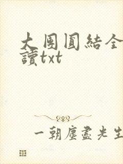 大团圆结全文阅读txt