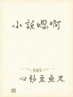 小说嗯啊