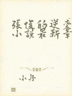 张俊的逆袭之路小说最新章节