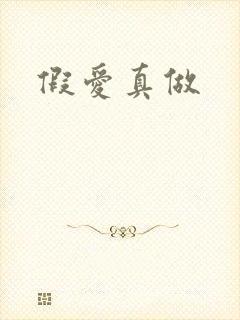 假爱真做