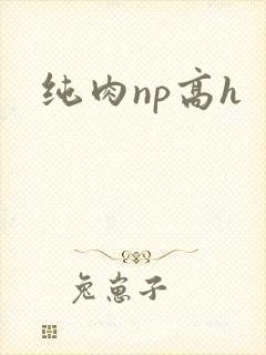 纯肉np高h