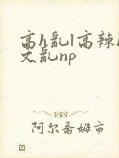高h乱l高辣h文乱np