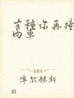 有种你再撞一下肉车