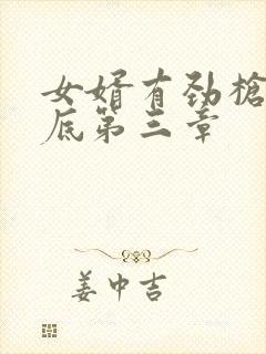 女婿有劲枪枪到底第三章