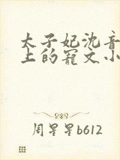 太子妃沈音和皇上的宠文小说