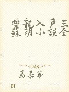 双龙入户三人行苏玥小说全文阅读
