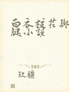 白衣校花与大长腿小说