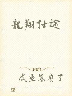 龙翔仕途