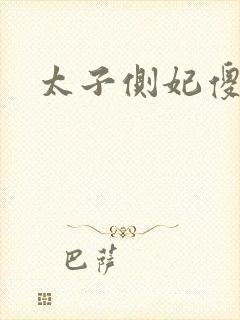 太子侧妃傻乎乎