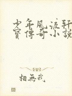 少年风流轩辕大宝传奇小说