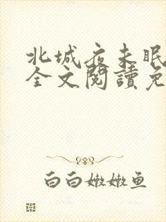 北城夜未眠小说全文阅读免费