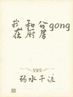 我和公gong在厨房