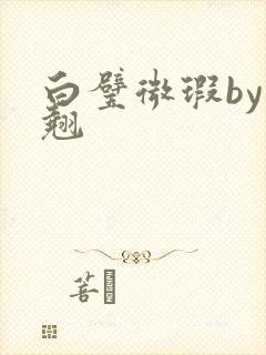 白璧微瑕by连翘