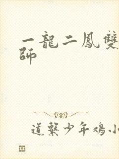 一龙二凤双飞老师