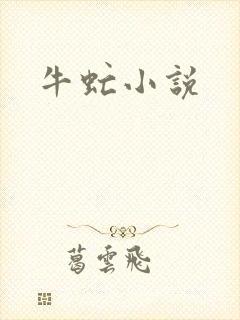 牛虻小说