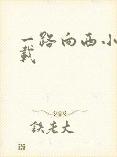一路向西小说下载
