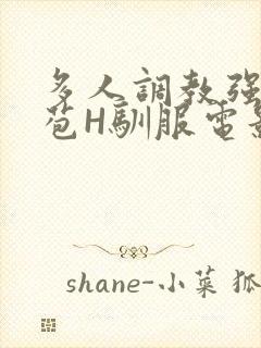 多人调教强行破苞H驯服电影