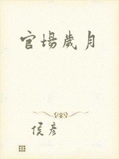 官场岁月