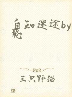 自知迷途by二飞