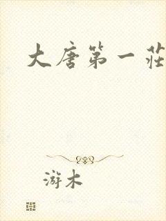 大唐第一庄