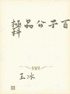 极品公子百度百科