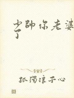 少帅你老婆又跑了