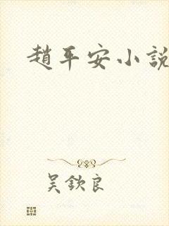 赵平安小说主角