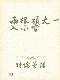 两根硕大一起挤入小雪